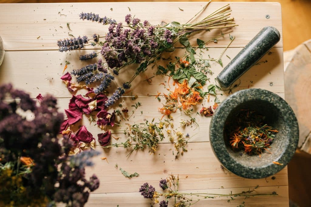 Ensemble de fleurs séchées préparées pour une tisane