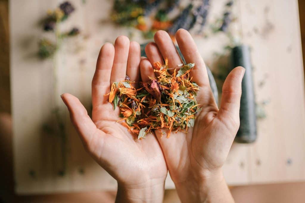 Mains qui tiennent des herbes