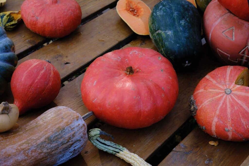 Potimarrons et courges de saison sur une table en bois